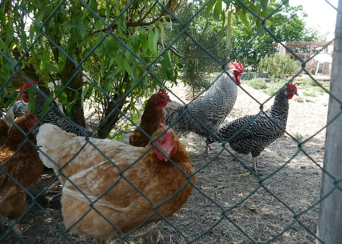 Apartment Mit Terrasse - 10 Minuten Von Templin