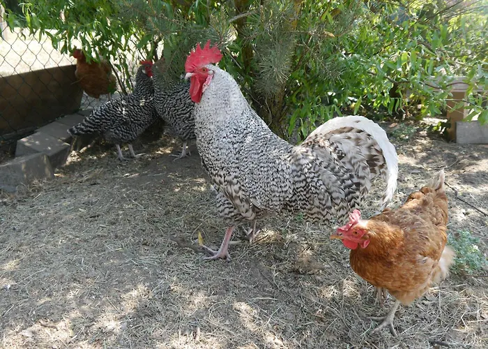 Apartment Mit Terrasse - 10 Minuten Von Templin Milmersdorf